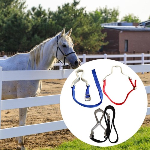 Pince pour chevaux - pour,