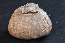 Oursin fossile Echinocorys Tenuituberculata Nizan Haute  Garonne France 257g