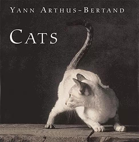 Cats yann arthus bertrand - yann, arthus-bertrand