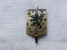 insigne militaire 34ème  groupement  DE CAMP