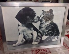 Ancien cadre bois argenté.  CADRE  chats chatons chiens  collection  déco Shabby