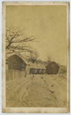 CDV circa 1870 J. Smith, 300 City Road, London. Énormes buis taillés ? Topiaire.