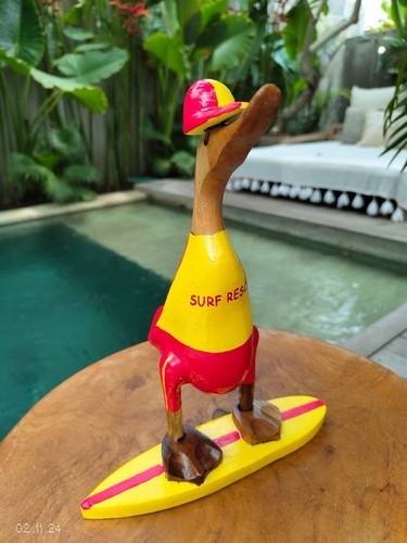 Bali wood canard - canard, bois