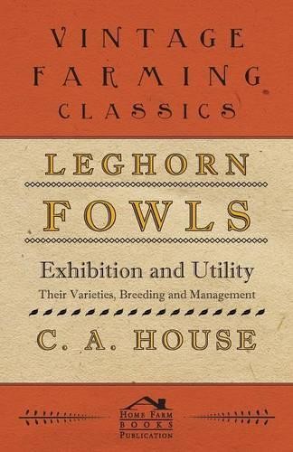 House leghorn fowls - house,