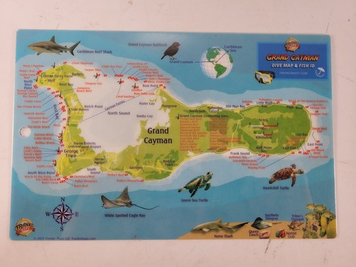 10pc grand cayman - grand, dive