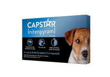 Capstar traitement - capstar,