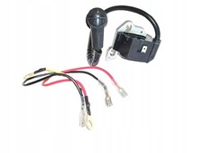 Bobine, module d'allumage pour