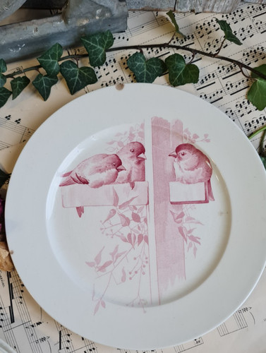 Ancienne assiette terre de - assiette,