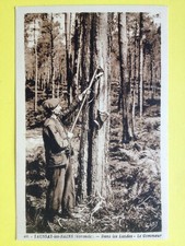 cpa FRANCE TAUSSAT les BAINS Gironde Dans les LANDES Le GEMMEUR Résinier arbre