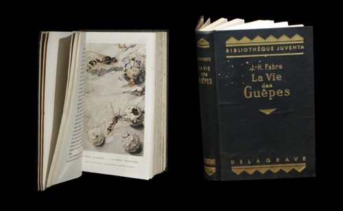 Entomologie fabre - [entomologie],