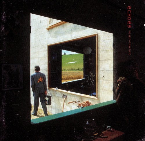 Pink floyd echoes - pink,