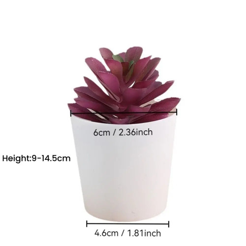Plante succulente artificielle - plante,