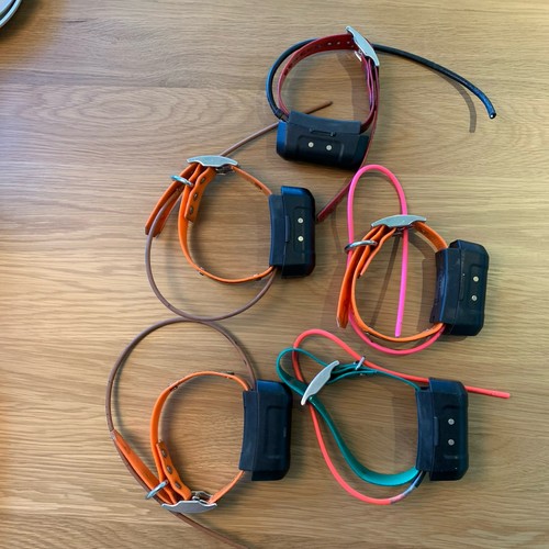 Garmin astro dc40 - garmin, gps