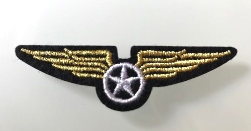 Patch écusson brodé insigne - patch,