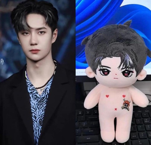 Peluche wang yibo one - peluche, cm