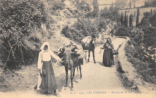Cpa les pyrenees - 64,