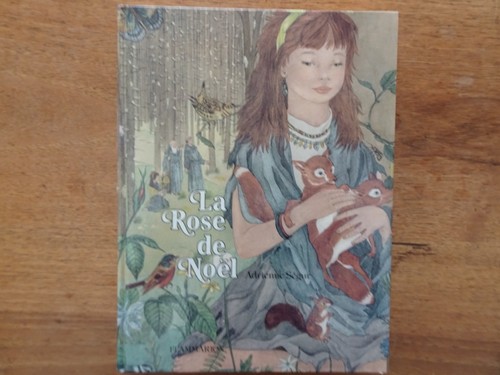 Rose noël - rose, de