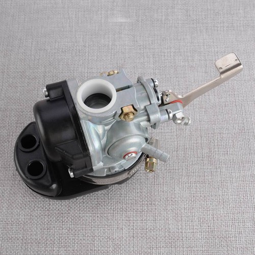 Carburateur pour dellorto - pour,