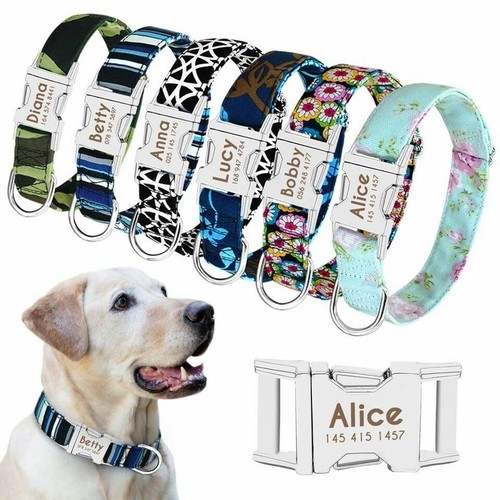 Collier chien - collier, de