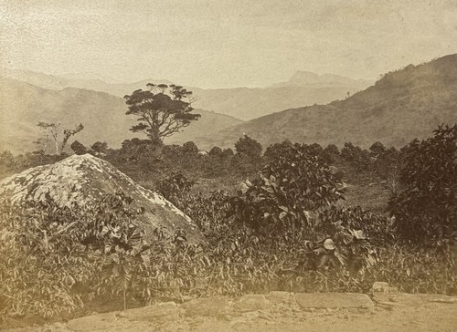 Asie ceylan sri lanka - ceylan,, vue