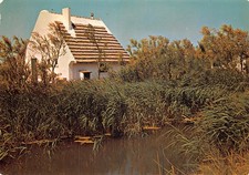 13 CAMARGUE CABANE DE GARDIANS