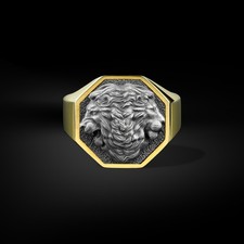 Bague chevalière homme en