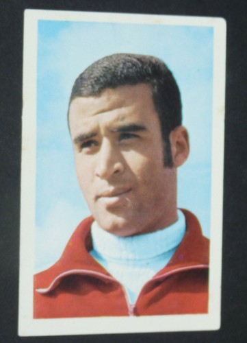 167 ahmed faras maroc - #167, lions