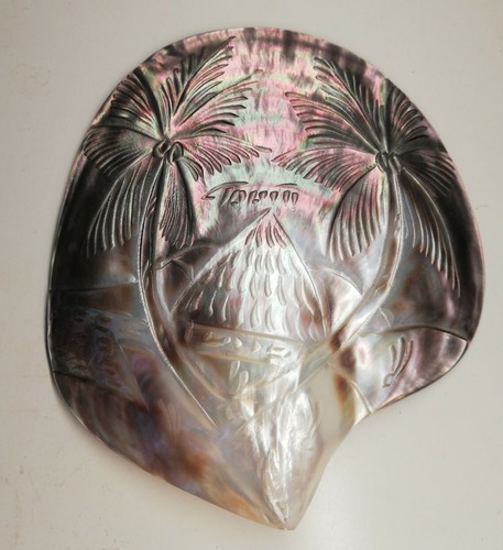 Ancienne coquille nacre