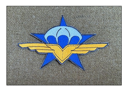 Insigne rcp dien - bien, phu