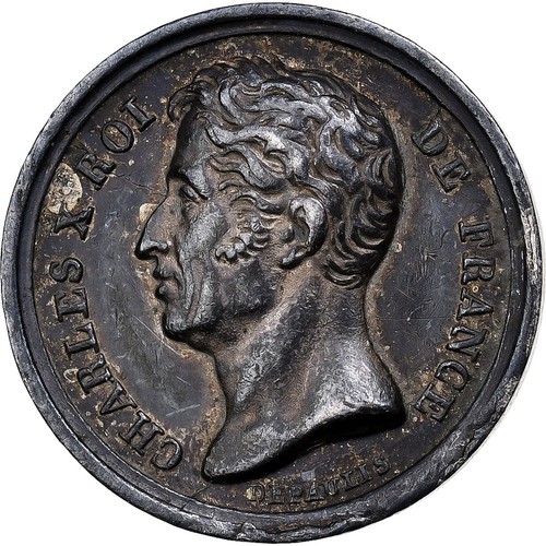 France quinaire charles x - charles,