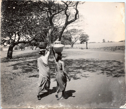 Inde femmes portant - inde,, et