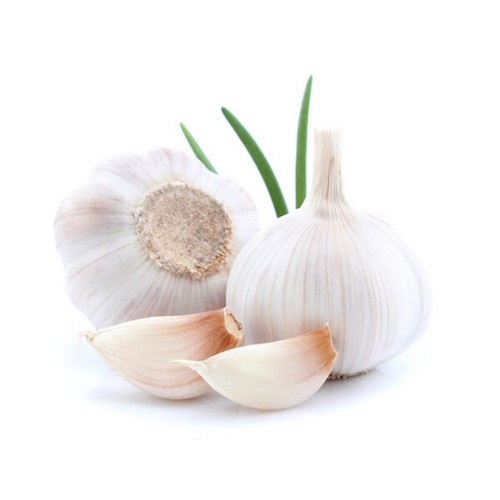 250 graines ail blanc - graines,