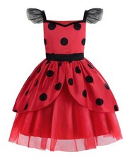 Déguisement Ladybird Panoplie