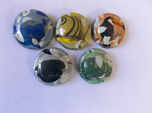 Capsules champagne pierre - capsules,