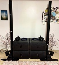 Bose L1 Model II - x2 | B2