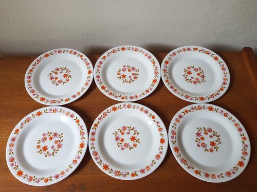 Assiettes dessert arcopal - 6,