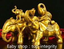 10 "Dynastie cuivre doré