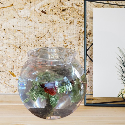 Petit bocal poissons - petit,