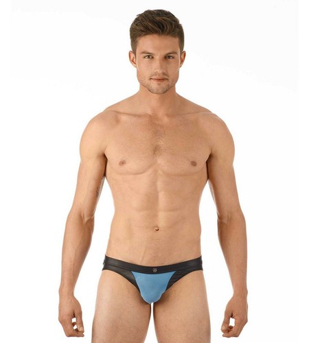 Gregg homme brief - gregg,