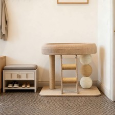 Arbre à Chat En Bois, Tour Mignonne Pour Chatons, Pour Exercice Et Repos