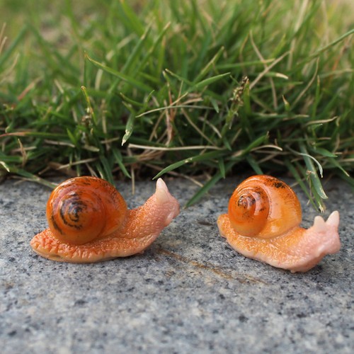 Pcs terrarium escargot de - pcs,