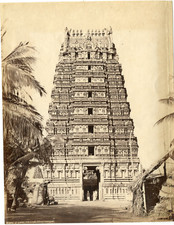 Inde, Trickaleecoondrum, the