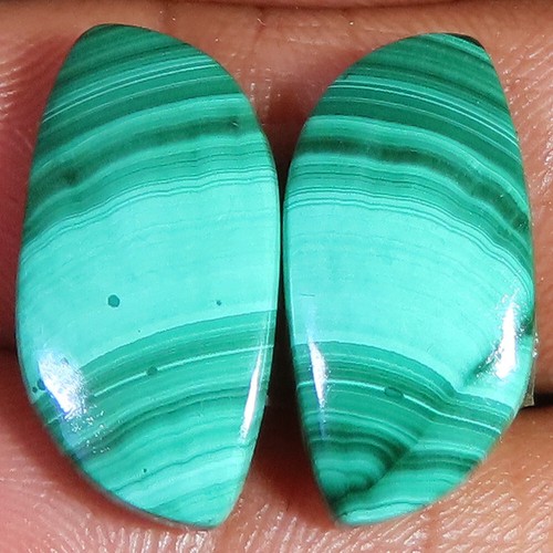 Naturel vert - ct,