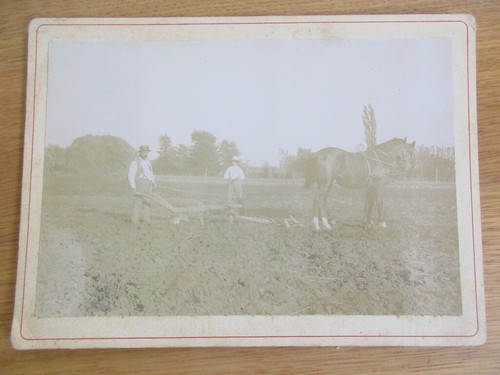 Photo albumine 1880 labour - photo,