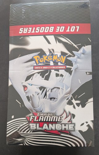 Pokémon display bundle - pokémon,