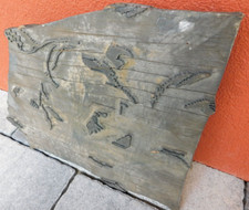 vintage PLAQUE planche en BOIS