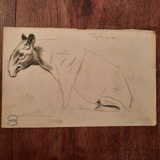 Dessin Ancien Animalier René