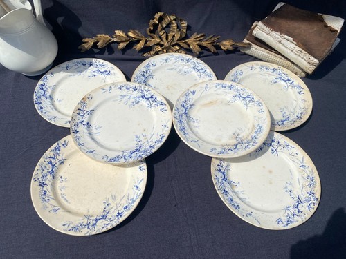 Assiettes plates faïence - plates, en