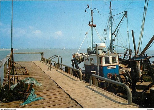 Carte postale cayeux - postale,