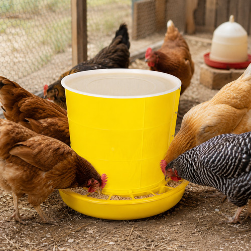 Mangeoire poules 80l avec - à,